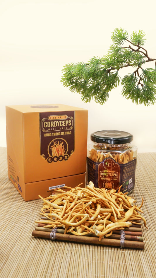 FREEZE DRIED CORDYCEPS - ĐÔNG TRÙNG HẠ THẢO - 20GR