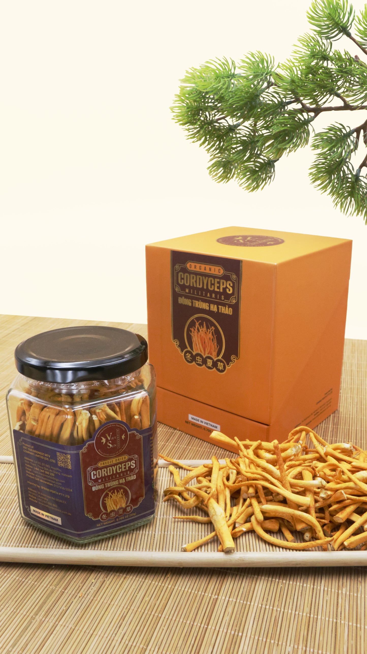FREEZE DRIED CORDYCEPS - ĐÔNG TRÙNG HẠ THẢO - 20GR