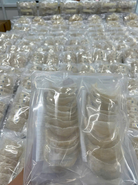 SPECIAL Bird’s Nest – Economy Pack