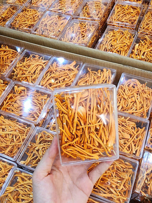 FREEZE DRIED CORDYCEPS - ĐÔNG TRÙNG HẠ THẢO - 10GR - 1 BOX AND 12 BOX
