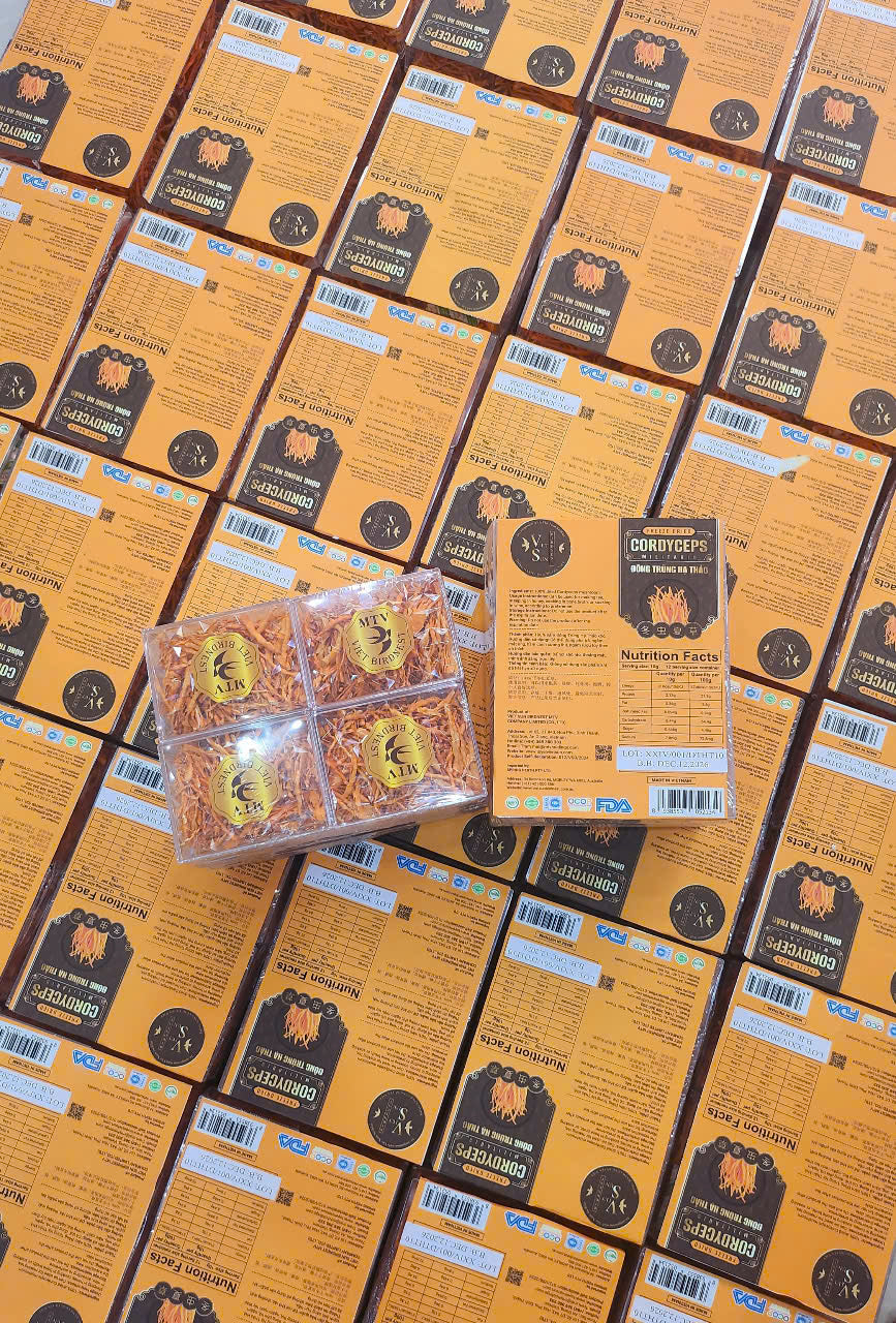 FREEZE DRIED CORDYCEPS - ĐÔNG TRÙNG HẠ THẢO - 10GR - 1 BOX AND 12 BOX