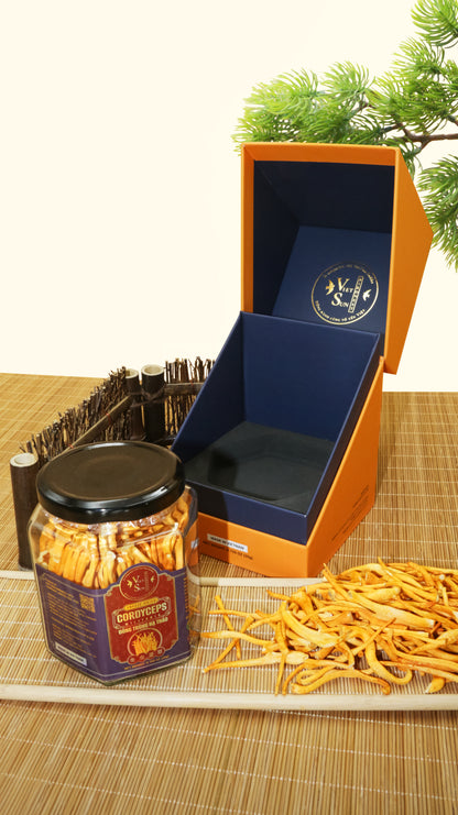 FREEZE DRIED CORDYCEPS - ĐÔNG TRÙNG HẠ THẢO - 20GR