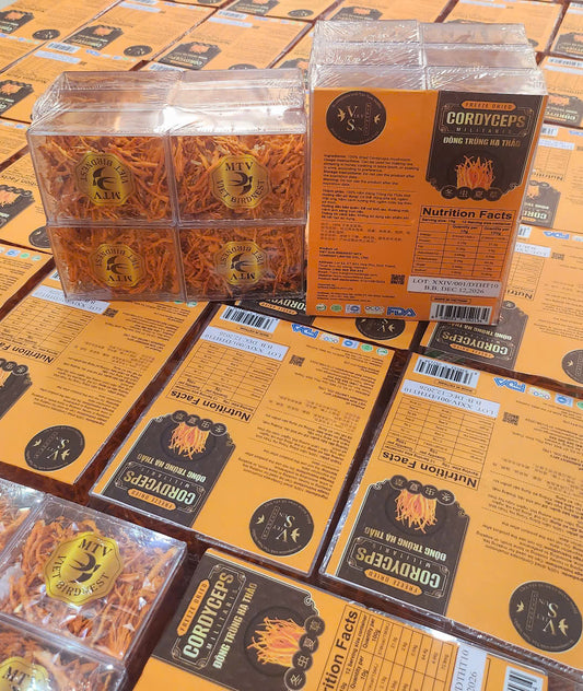 FREEZE DRIED CORDYCEPS - ĐÔNG TRÙNG HẠ THẢO - 10GR - 1 BOX AND 12 BOX